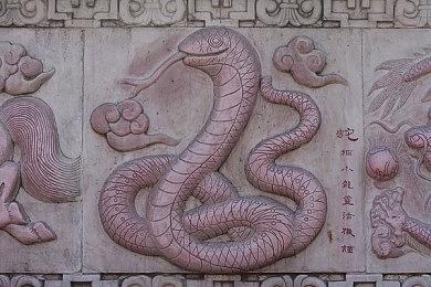 星空游戏数字高级版和原版有什么区别？Starfield预购奖励介绍